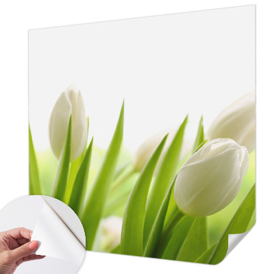 3D-Fototapete Weiße Tulpen