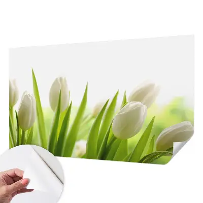 3D-Fototapete mit Motiv weißer Tulpen