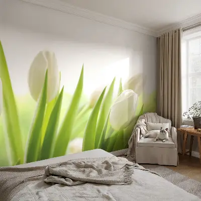3D-Fototapete mit Motiv weißer Tulpen