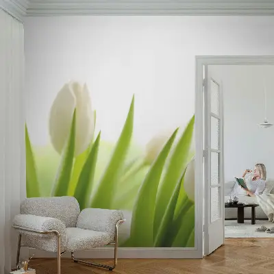 3D-Fototapete mit Motiv weißer Tulpen