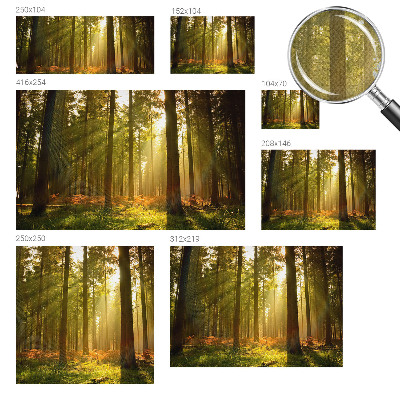 Fototapete in 3D-Optik mit dem Motiv „Waldmorgen“