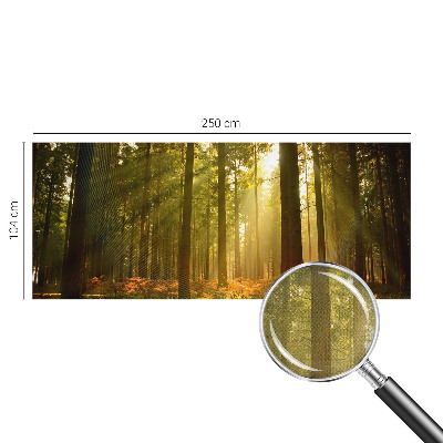 Fototapete in 3D-Optik Waldmorgen