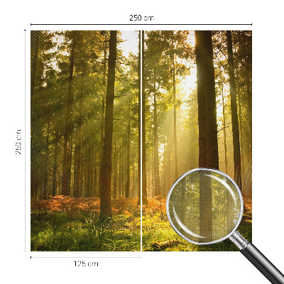 Fototapete in 3D-Optik mit dem Motiv „Waldmorgen“