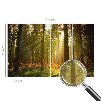 Fototapete in 3D-Optik mit dem Motiv „Waldmorgen“