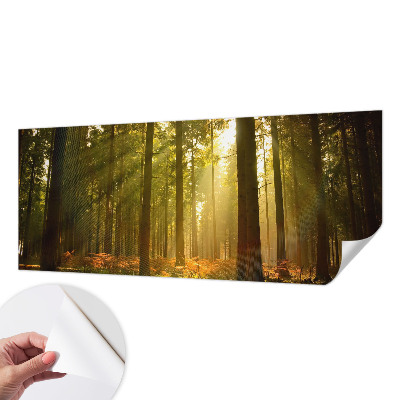 Fototapete in 3D-Optik mit dem Motiv „Waldmorgen“