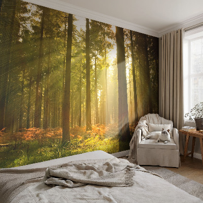 Fototapete in 3D-Optik mit dem Motiv „Waldmorgen“