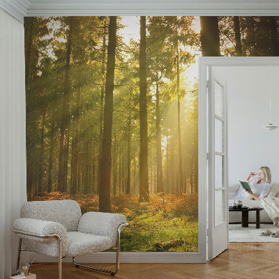 Fototapete in 3D-Optik mit dem Motiv „Waldmorgen“
