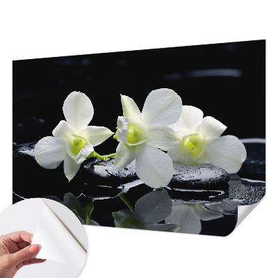 Fototapete nach Maß mit Blumen- und Steinmuster