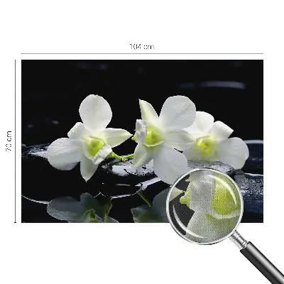 Fototapete nach Maß mit Blumen- und Steinmuster