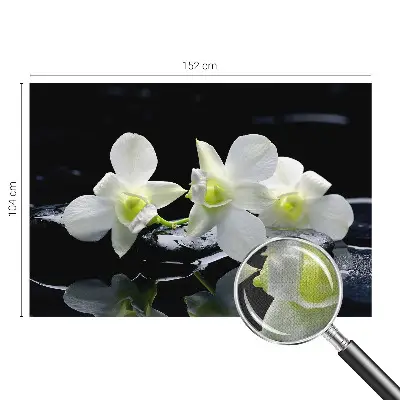 Fototapete nach Maß mit Blumen- und Steinmuster