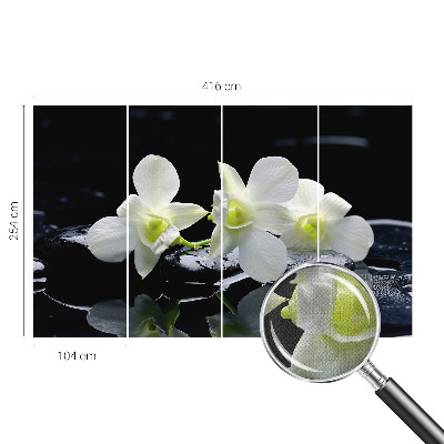 Fototapete nach Maß Blumen und Steine