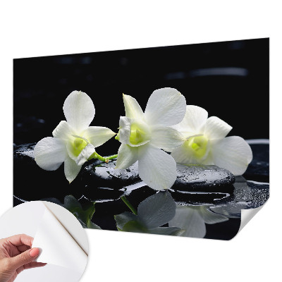 Fototapete nach Maß Blumen und Steine