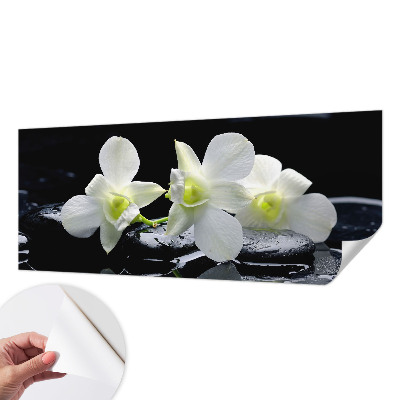 Fototapete nach Maß Blumen und Steine