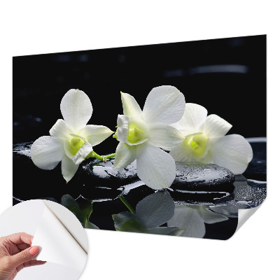 Fototapete nach Maß Blumen und Steine