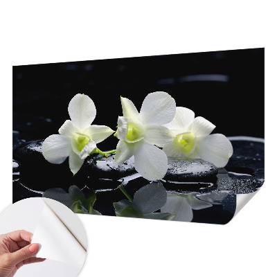 Fototapete nach Maß Blumen und Steine