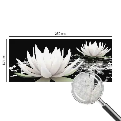 Moderne Fototapete nach Maß mit einem Motiv aus Wasserblumen
