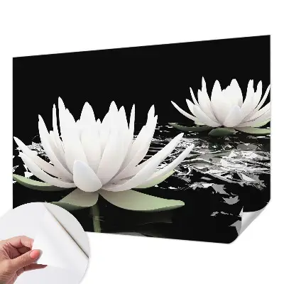 Moderne Fototapete nach Maß mit einem Motiv aus Wasserblumen