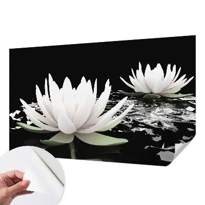 Moderne Fototapete nach Maß mit einem Motiv aus Wasserblumen
