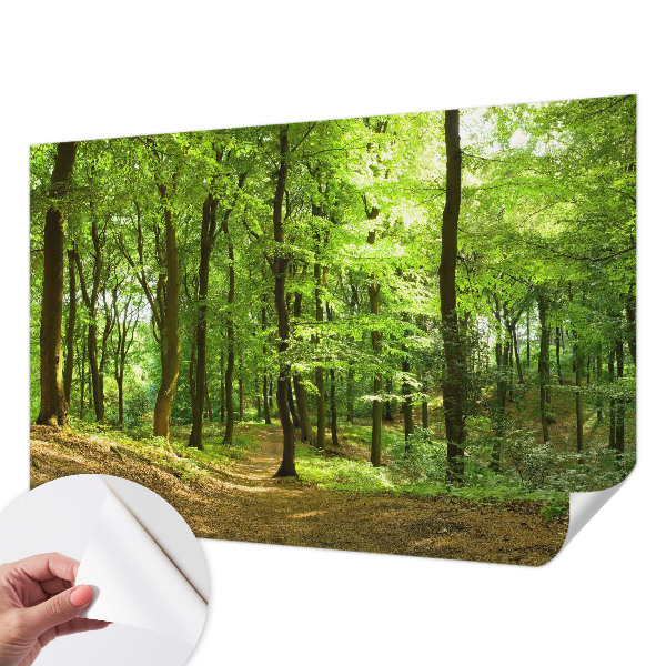 Selbstklebende Fototapete für die Wand mit einem natürlichen Weg-Motiv