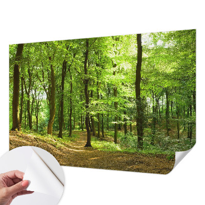 Selbstklebende Fototapete für die Wand mit einem natürlichen Weg-Motiv