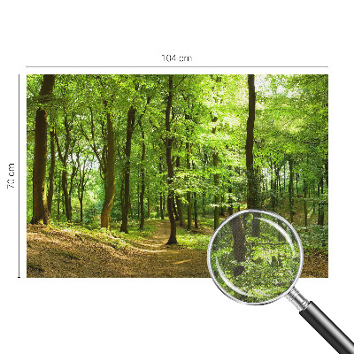 Selbstklebende Fototapete für die Wand mit einem natürlichen Weg-Motiv