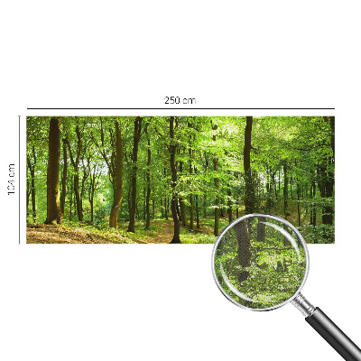 Selbstklebende Fototapete für die Wand mit einem natürlichen Weg-Motiv
