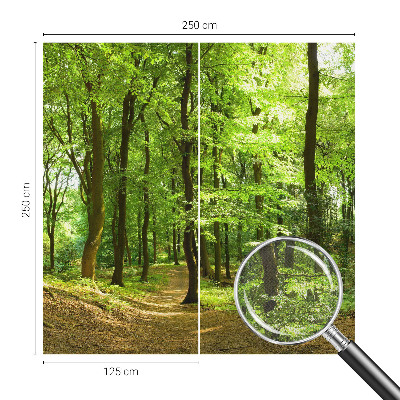 Selbstklebende Fototapete für die Wand mit einem natürlichen Weg-Motiv