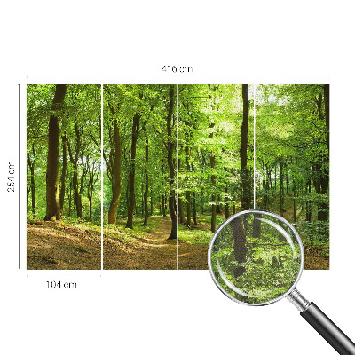 Selbstklebende Fototapete für die Wand Natürlicher Weg