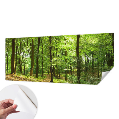 Selbstklebende Fototapete für die Wand mit einem natürlichen Weg-Motiv