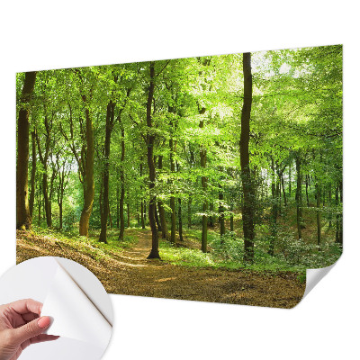 Selbstklebende Fototapete für die Wand mit einem natürlichen Weg-Motiv