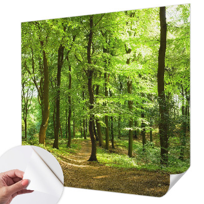 Selbstklebende Fototapete für die Wand mit einem natürlichen Weg-Motiv