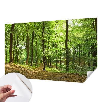 Selbstklebende Fototapete für die Wand mit einem natürlichen Weg-Motiv