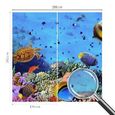 Selbstklebende Fototapete fürs Wohnzimmer Korallenriff