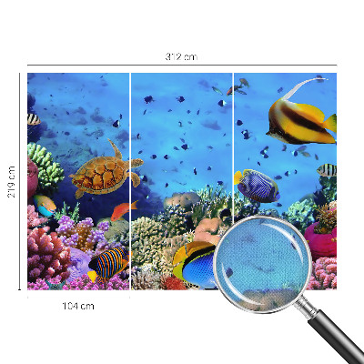 Selbstklebende Fototapete fürs Wohnzimmer mit Motiv eines Korallenriffs