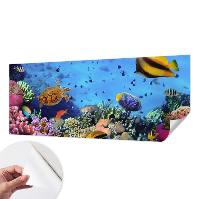 Selbstklebende Fototapete fürs Wohnzimmer mit Motiv eines Korallenriffs