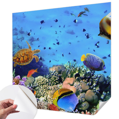Selbstklebende Fototapete fürs Wohnzimmer mit Motiv eines Korallenriffs