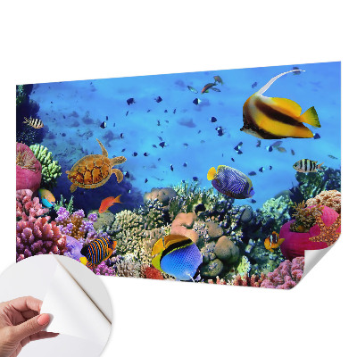 Selbstklebende Fototapete fürs Wohnzimmer mit Motiv eines Korallenriffs