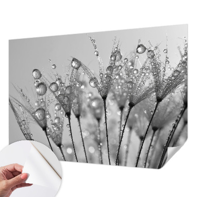 Selbstklebende Fototapete fürs Kinderzimmer Feuchte Delikatesse