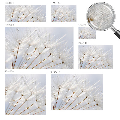 4D-Fototapete Rosafarbener Löwenzahn