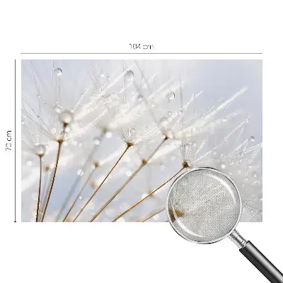 4D-Fototapete mit rosafarbenem Löwenzahnmotiv