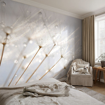 4D-Fototapete Rosafarbener Löwenzahn