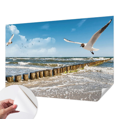 4D-Fototapete fürs Wohnzimmer Küstenlandschaft