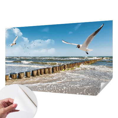 4D-Fototapete fürs Wohnzimmer mit einer Küstenlandschaft