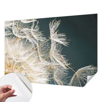 Moderne Fototapete nach Maß mit dem Motiv „Löwenzahn der Leichtigkeit“