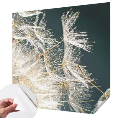 Moderne Fototapete nach Maß mit dem Motiv „Löwenzahn der Leichtigkeit“
