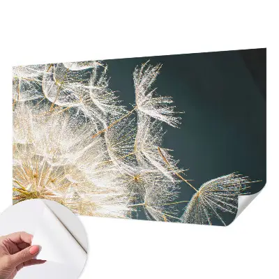 Moderne Fototapete nach Maß mit dem Motiv „Löwenzahn der Leichtigkeit“