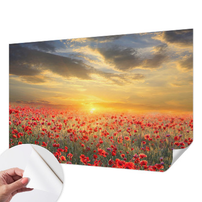 Selbstklebende Fototapete für die Wand mit Motiv eines Mohnfelds