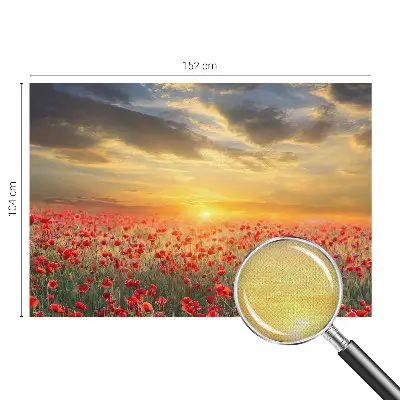 Selbstklebende Fototapete für die Wand mit Motiv eines Mohnfelds