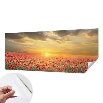 Selbstklebende Fototapete für die Wand mit Motiv eines Mohnfelds