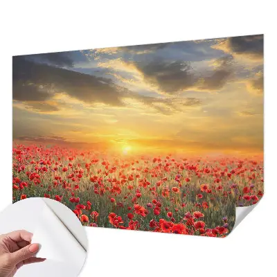 Selbstklebende Fototapete für die Wand mit Motiv eines Mohnfelds
